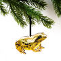 Amphibia Frog Wooden Hanging Decoration, thumbnail 1 of 4
