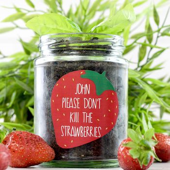 Personalised 'Don't Kill Me' Strawberry Jar Grow Kit, 6 of 11