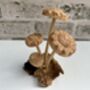 Hand Carved Shitake Wood Mushrooms On Driftwood Base, thumbnail 2 of 11