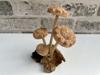 Hand Carved Shitake Wood Mushrooms On Driftwood Base, 2 of 11
