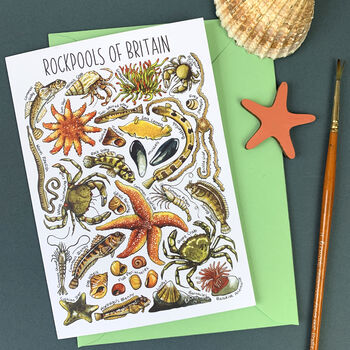 Rockpools Of Britain Blank Greeting Card, 7 of 9