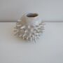 Handmade Small Round White Spiky Ceramic Cactus Vase, thumbnail 2 of 6