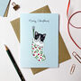 Black And White Cat Christmas Card, thumbnail 1 of 2