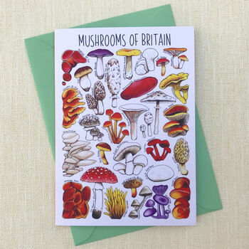 Mushrooms Of Britain Art Blank Greeting Card, 4 of 11