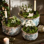 Set Of Three Fiorella Teal Botanical Planters, thumbnail 3 of 6
