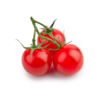 Tomato Plants 'Sweet Aperitif' 12 X Plug Plant Pack, 8 of 9