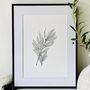 Bay Leaves Original Botanical Illustration, thumbnail 1 of 4