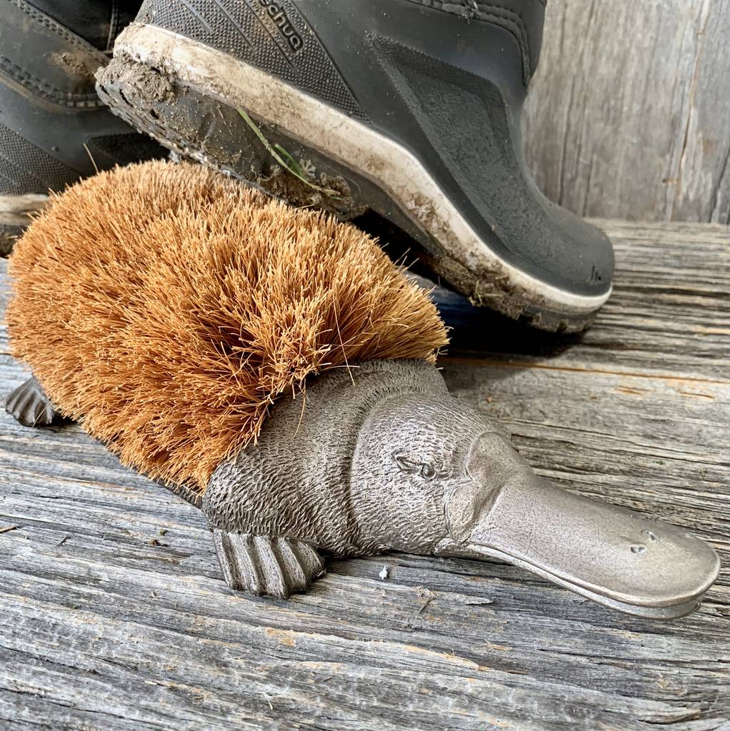 walking boot brush