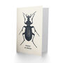 Vintage Style Beetle Illustration Creepy Crawly Birthday Card, thumbnail 2 of 4