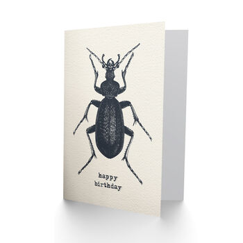 Vintage Style Beetle Illustration Creepy Crawly Birthday Card, 2 of 4