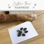 Pet Safe Non Toxic Paw Print Ink Pad Kit, thumbnail 12 of 12
