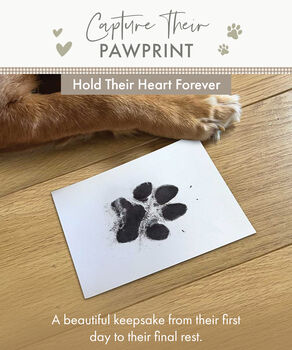 Pet Safe Non Toxic Paw Print Ink Pad Kit, 12 of 12