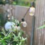 Small Oval Shaped Bulb Festoon Lights, thumbnail 3 of 4