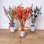 Colourful Dried Flower Arrangement With Personalised Vase Gift, thumbnail 2 of 9