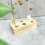 Personalised Herb And Spice Test Tube Rack, thumbnail 4 of 7