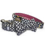 Wilma's Black And White Dog Collar Bow Tie And Lead Set, thumbnail 1 of 3