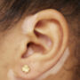 Gold Plated Clover Ear Studs, thumbnail 2 of 6