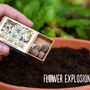 20 Personalised Wildflower Seed Wedding Favour Boxes, thumbnail 12 of 12