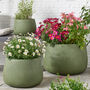 Kalo Green Striped Planter, thumbnail 1 of 7
