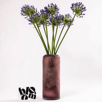 Blue Agapanthus Fresh Flower Bouquet, 2 of 2