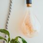 Macrame Hanging Accent Lamp With Globe Bulb, thumbnail 3 of 11