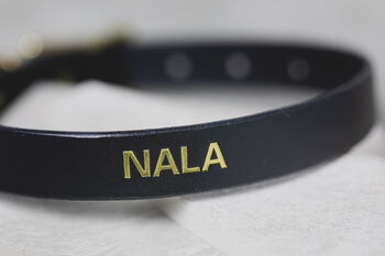 Personalised Luxury Leather Dog Collar, 3 of 6