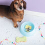 Happy Birthday Mini Iced Dog Biscuit Set, thumbnail 1 of 2