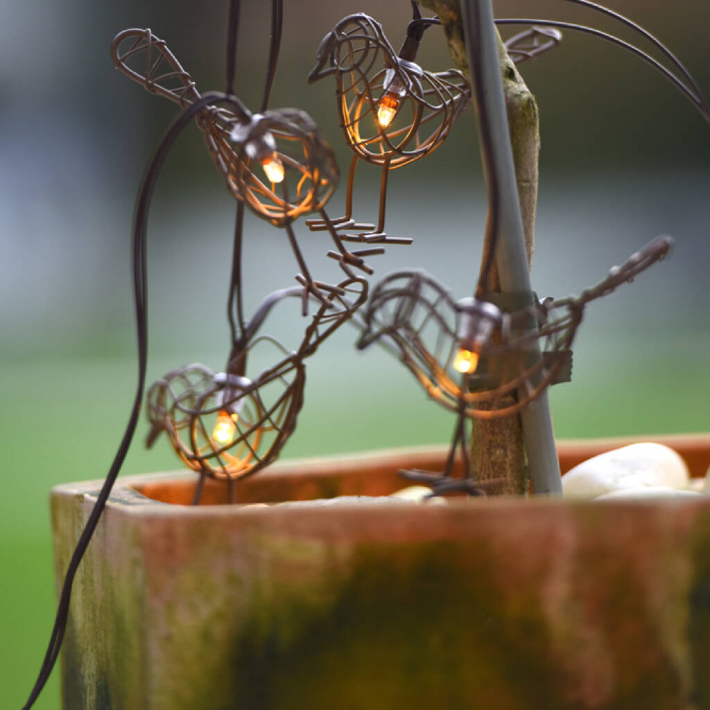 Robin String Lights By all things Brighton beautiful