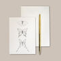 Tissue Wrapped Darwin Stationery Set, thumbnail 7 of 8