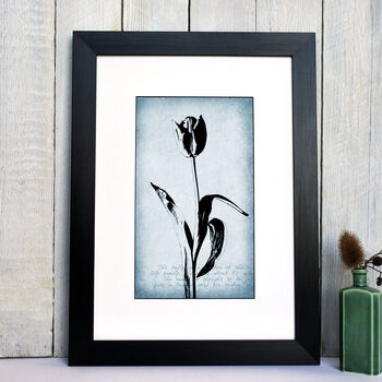 Tulip Fine Art Print Botanical Series, 2 of 7