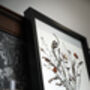 Whisper Stem Original Pressed Flower Art In A3 Black Frame, thumbnail 4 of 7