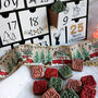 Make Your Own Advent Calendar Biscuit And Decorating Kit, thumbnail 6 of 12