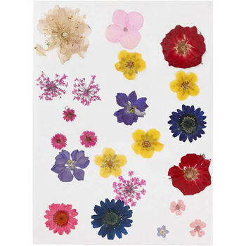 Pressed And Dried Flower Card Making Kit, 4 of 4