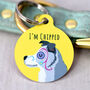 Day Of The Dead Halloween Dog ID Tag, thumbnail 8 of 12