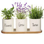 Grow Your Own Herb Garden Planter Pot Set, thumbnail 2 of 9