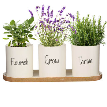Grow Your Own Herb Garden Planter Pot Set, 2 of 9