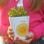 'Sunshine Smile' Personalised Teacher Thank You Plant Pot, thumbnail 1 of 2