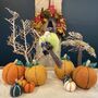 Handmade Medium Pumpkin Fair Trade Halloween Decoration, thumbnail 5 of 6