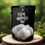 'Bon Appetit' Lion's Mane Mushroom Grow Kit, thumbnail 1 of 4