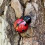 Ladybird And Bumble Bee Garden Wall Ornament, thumbnail 5 of 5