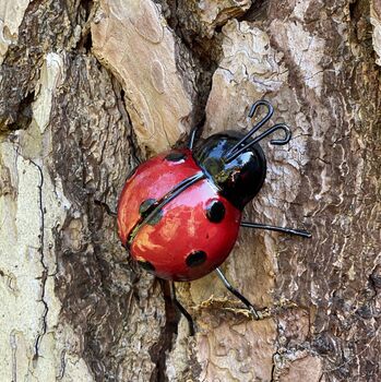 Ladybird And Bumble Bee Garden Wall Ornament, 5 of 5