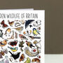 Garden Wildlife Of Britain Greeting Card, thumbnail 8 of 8