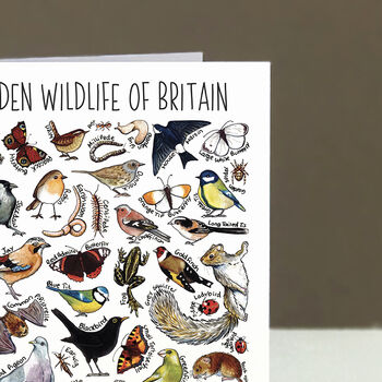 Garden Wildlife Of Britain Greeting Card, 8 of 8