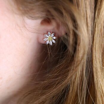 Sterling Silver And Yellow Gold Daisy Flower Stud Earrings, 4 of 8