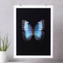 Butterfly Photographic Print, thumbnail 1 of 4