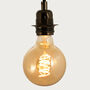Spiral Filament Globe G95 Edison LED Bulb E27 6 W, thumbnail 2 of 4