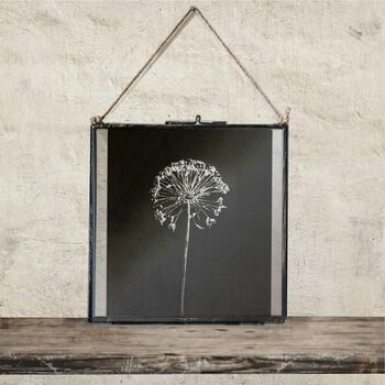 Collection Of Three Monochrome Dried Flower Art Prints, 4 of 9