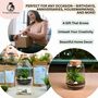 Closed Terrarium Kit With Live Plant | 'Luzern', thumbnail 7 of 10