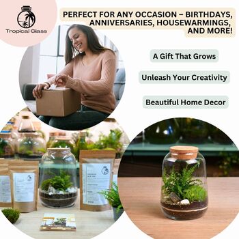 Closed Terrarium Kit With Live Plant | 'Luzern', 7 of 10