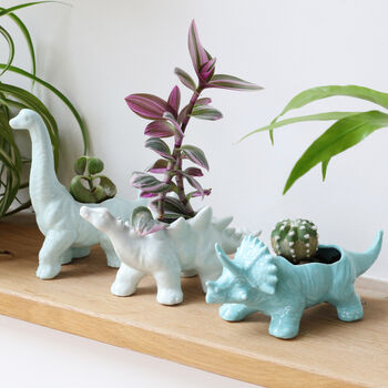 Dinosaur Planter, 2 of 4